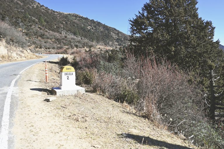 On the road to Chele La pass in Bhutan